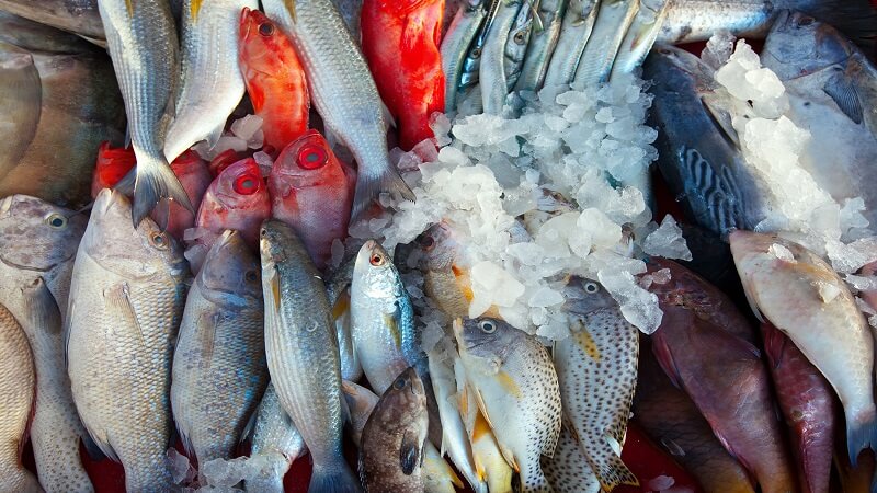 Which Fish Is Good for Uric Acid